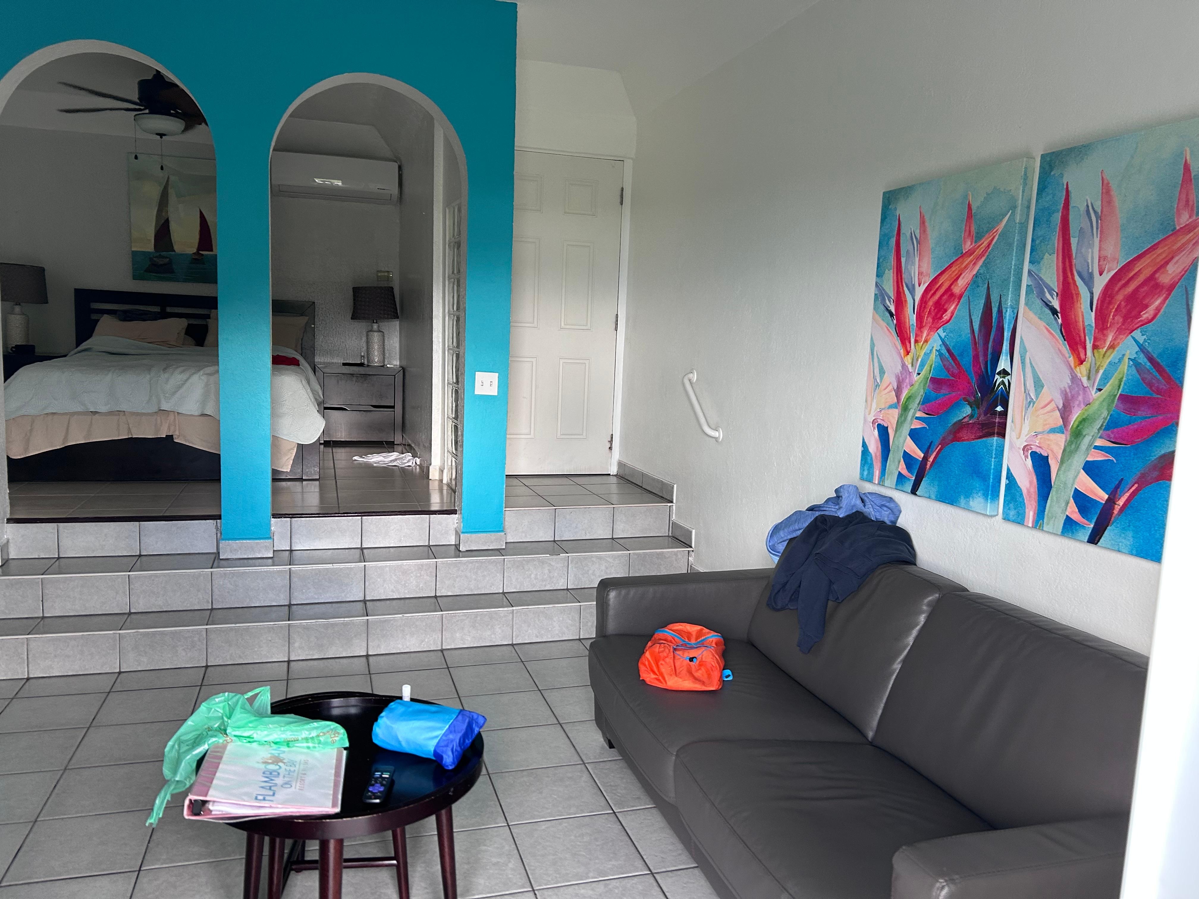 Living room has a pull out bed