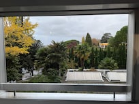 Our so called lake view.