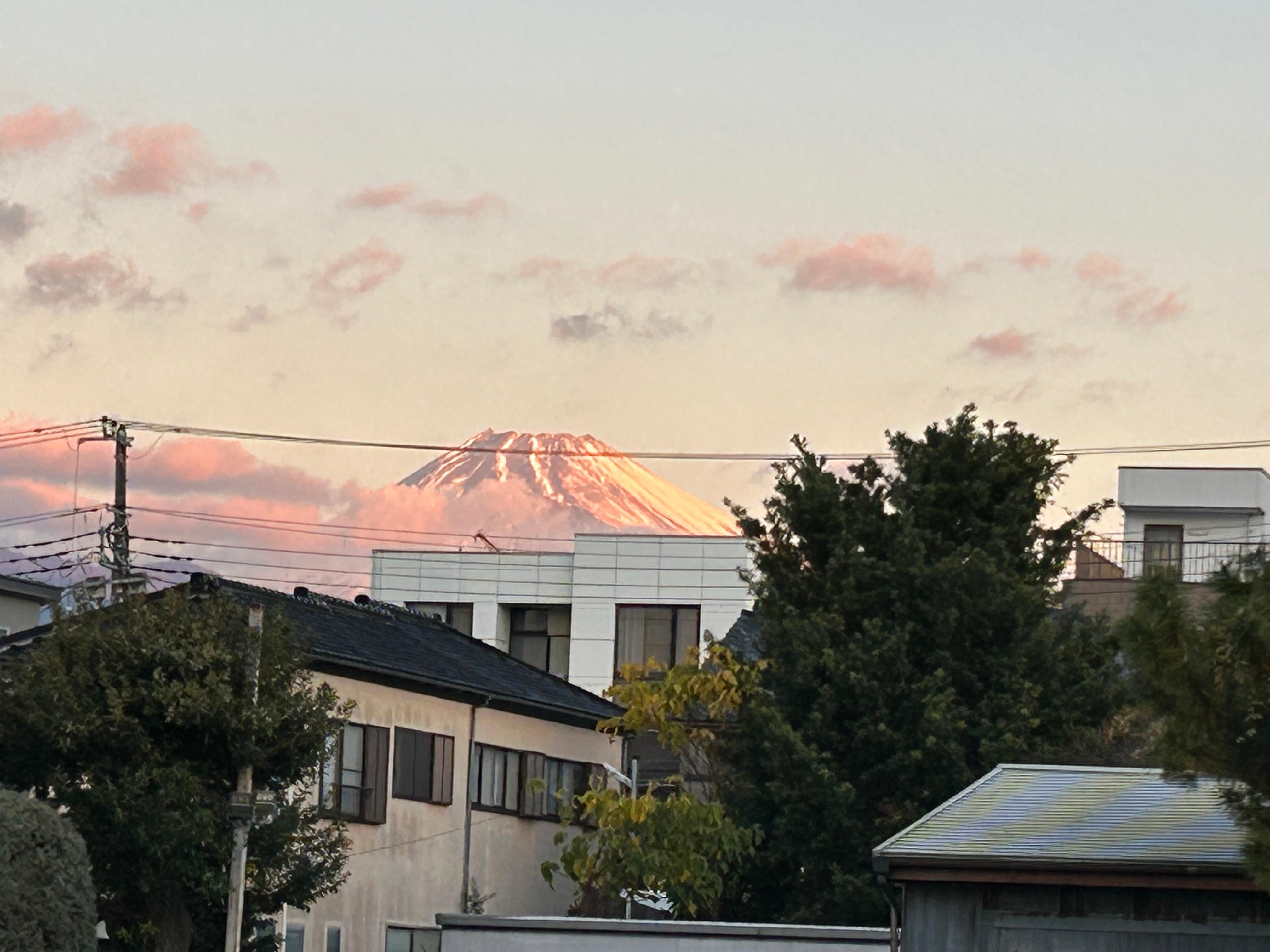 ホテルから三島大社に行く途中で撮りました。
朝焼けに浮かぶ富士山が綺麗でした。