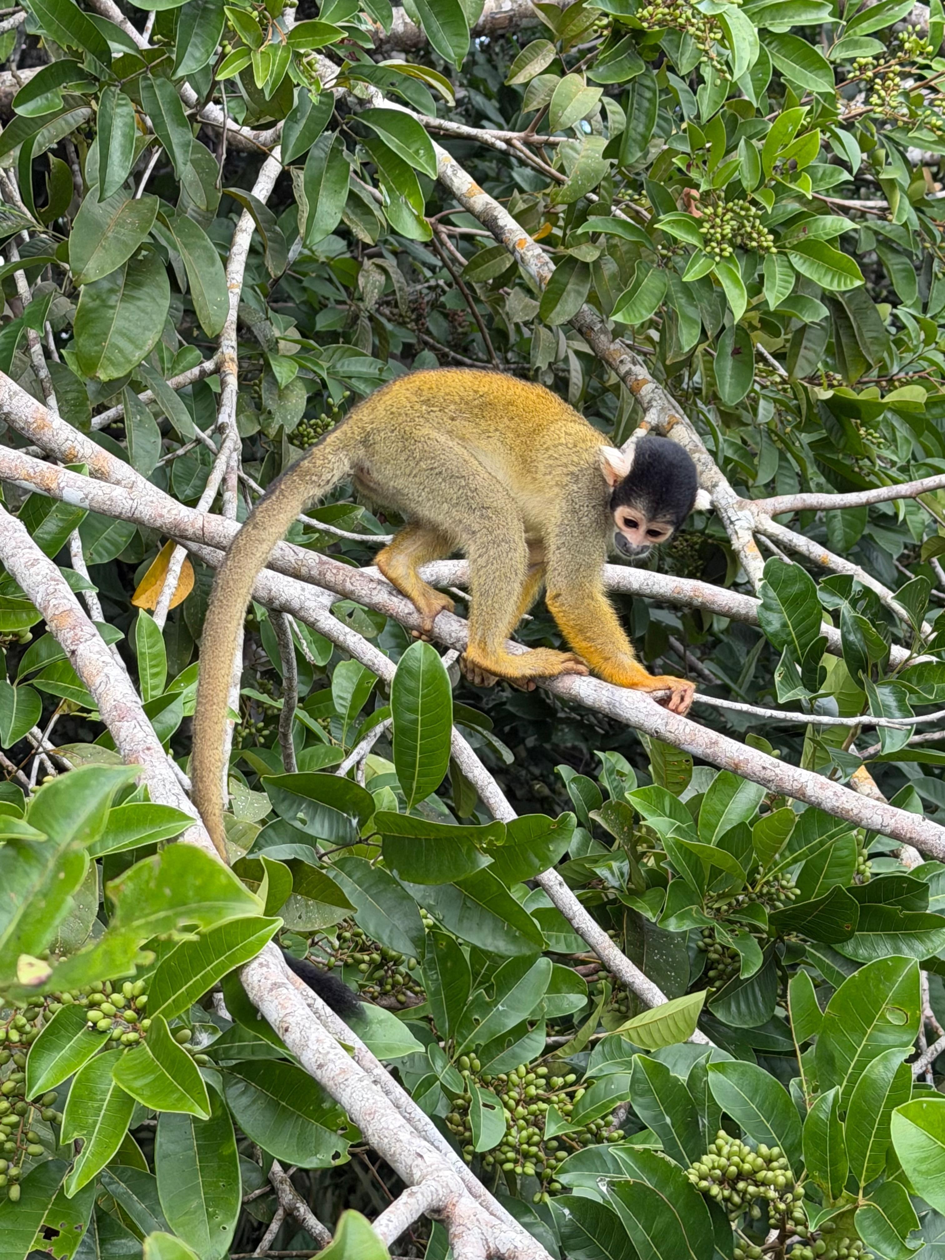 Morning boat excursion 