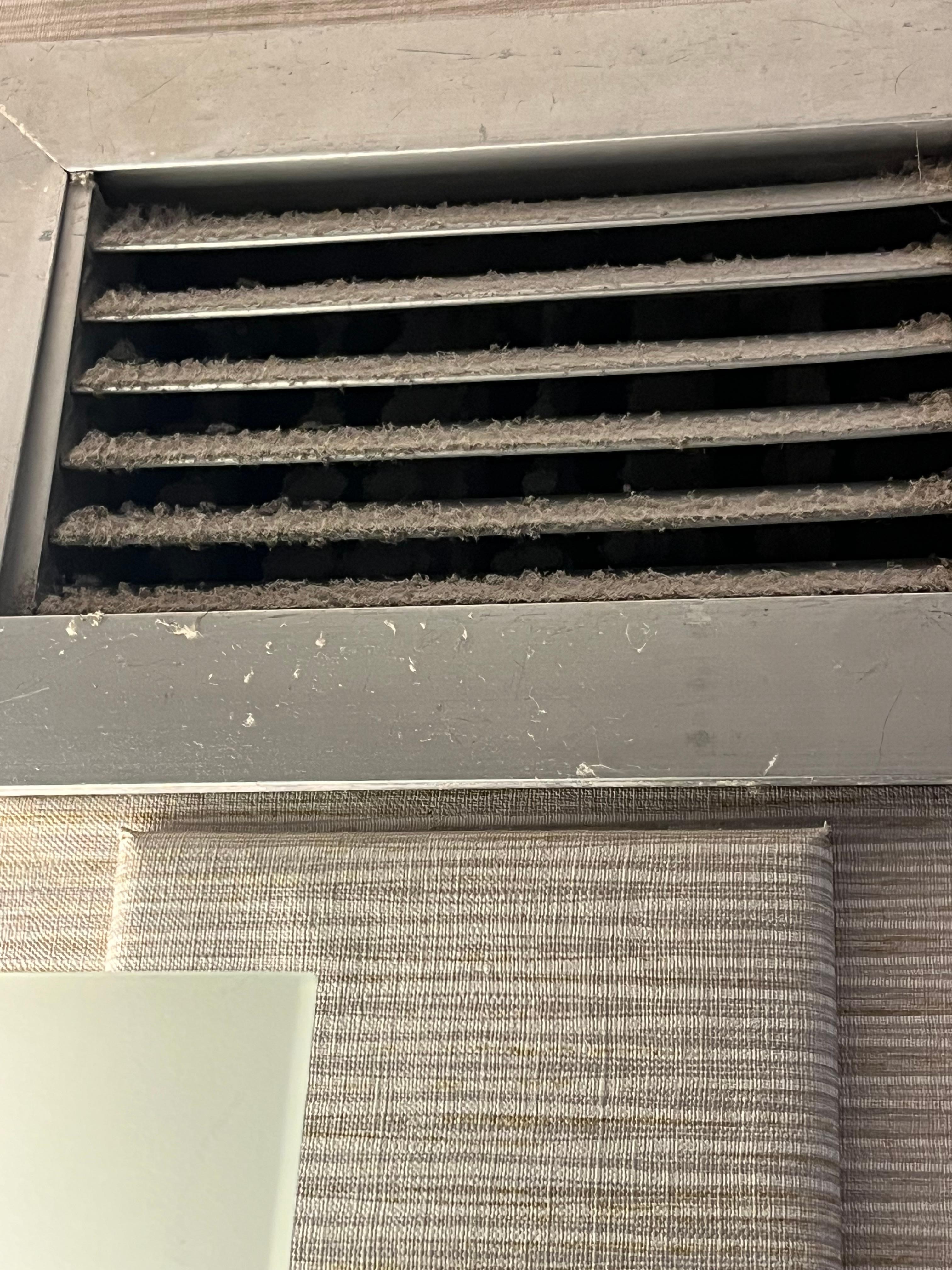 Health code violation I am sure