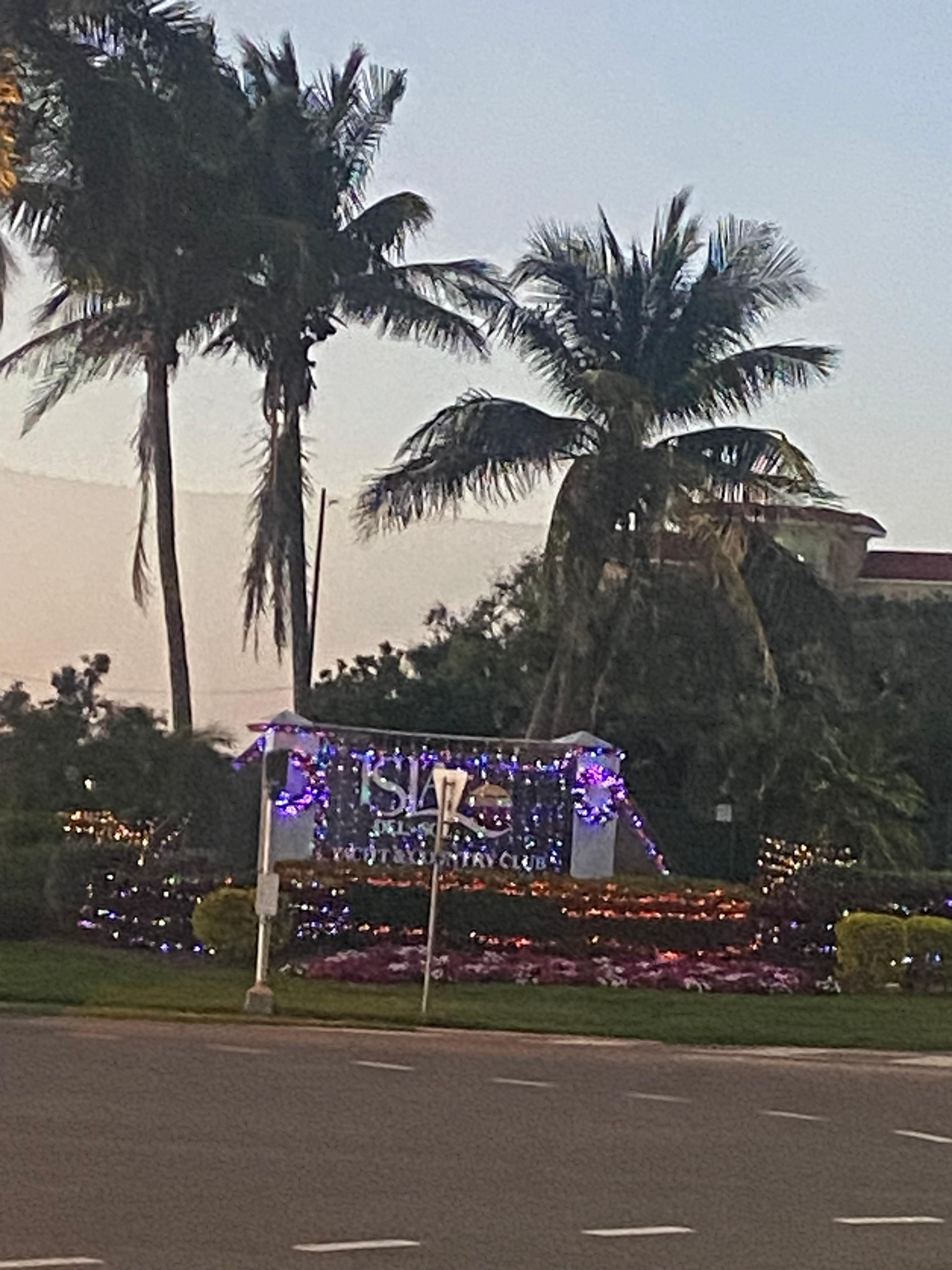 Christmas lights DTW