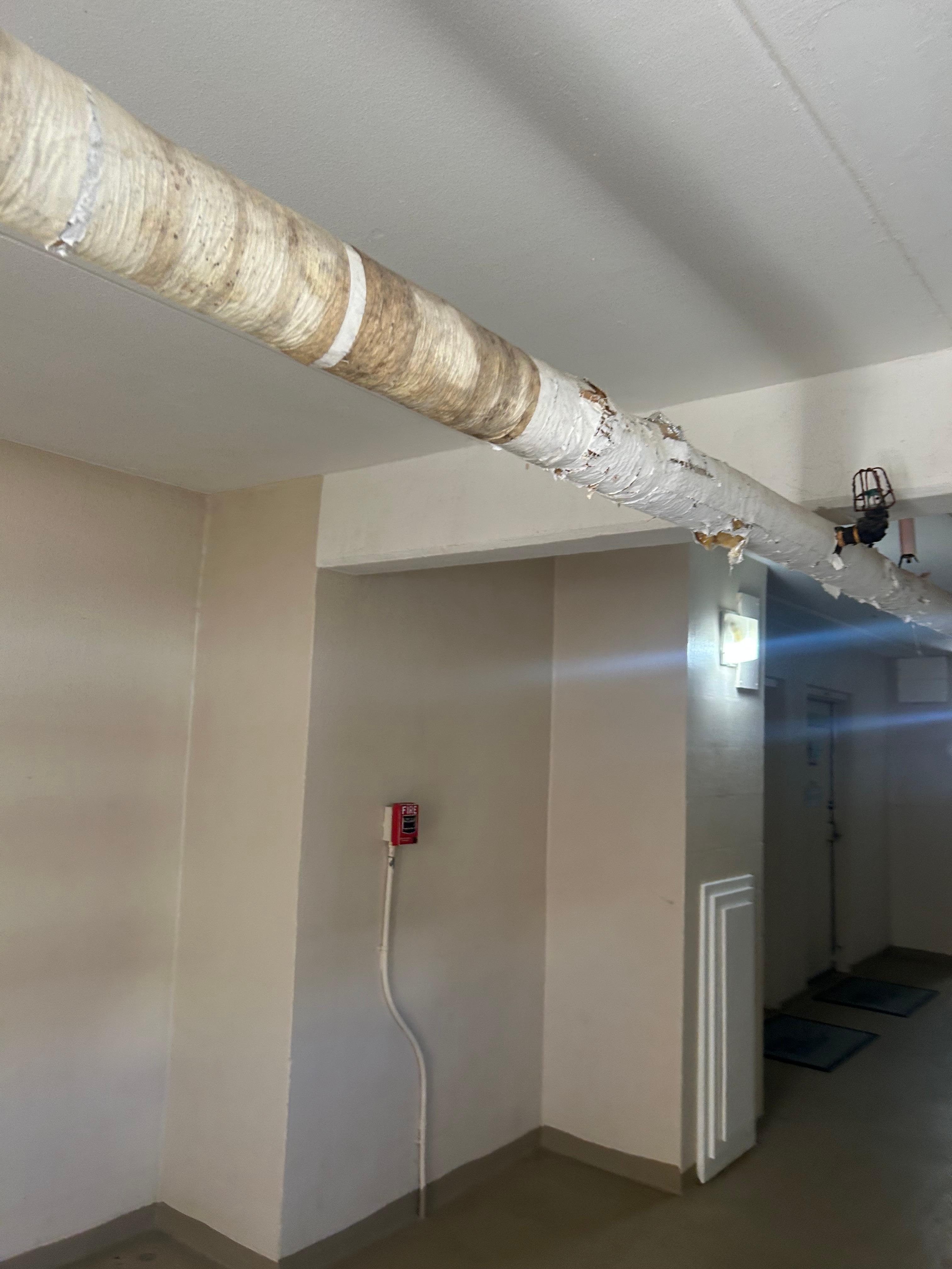 Pipes in every hall 