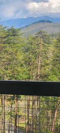 View from back deck
