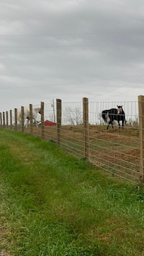 Izzy and Annie - definately a high point!!