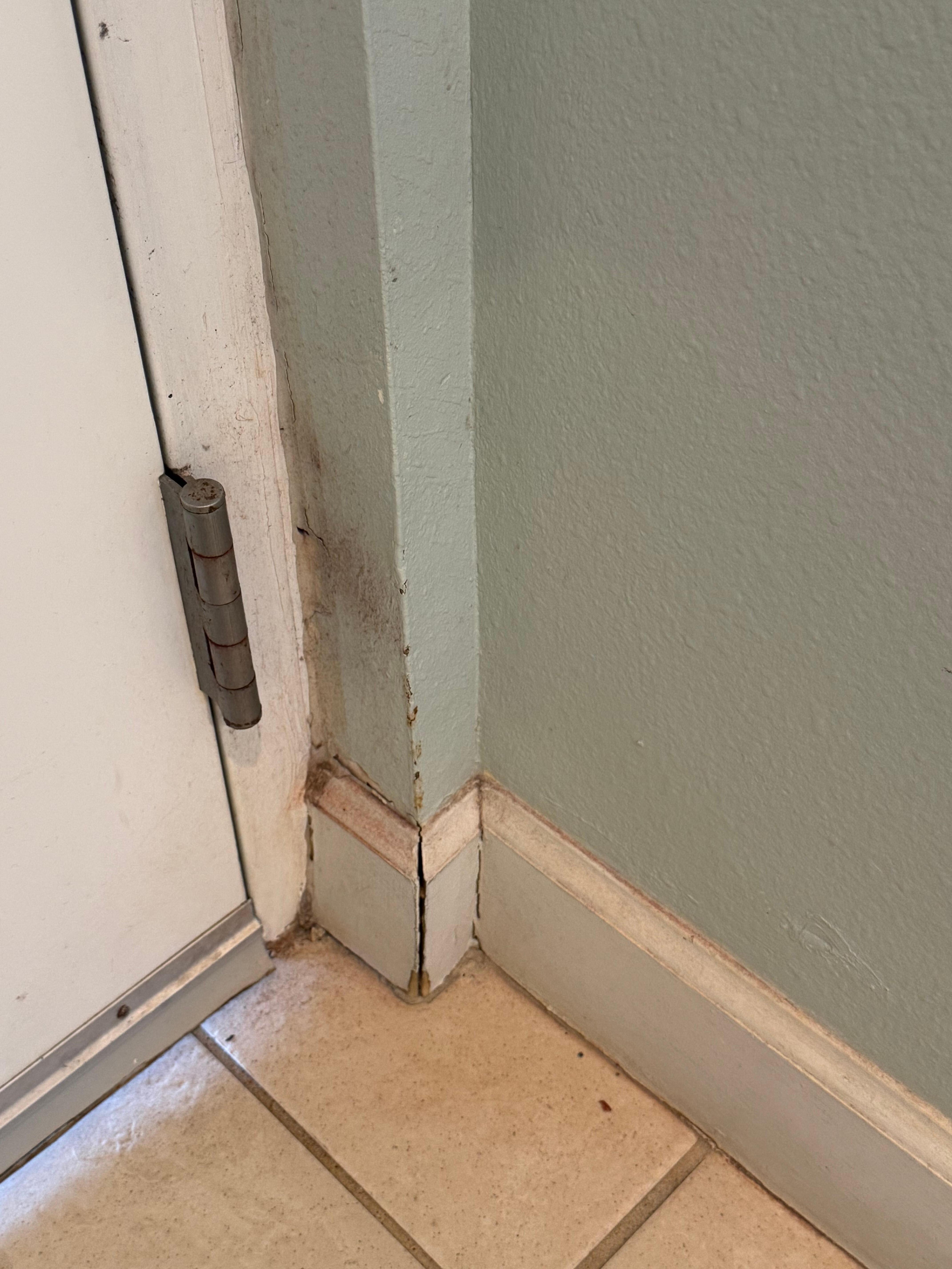 Entrance door. Dirty and busted.