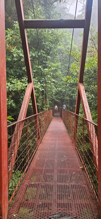 Monteverde Cloud Forest