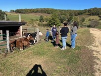 Farm on the property