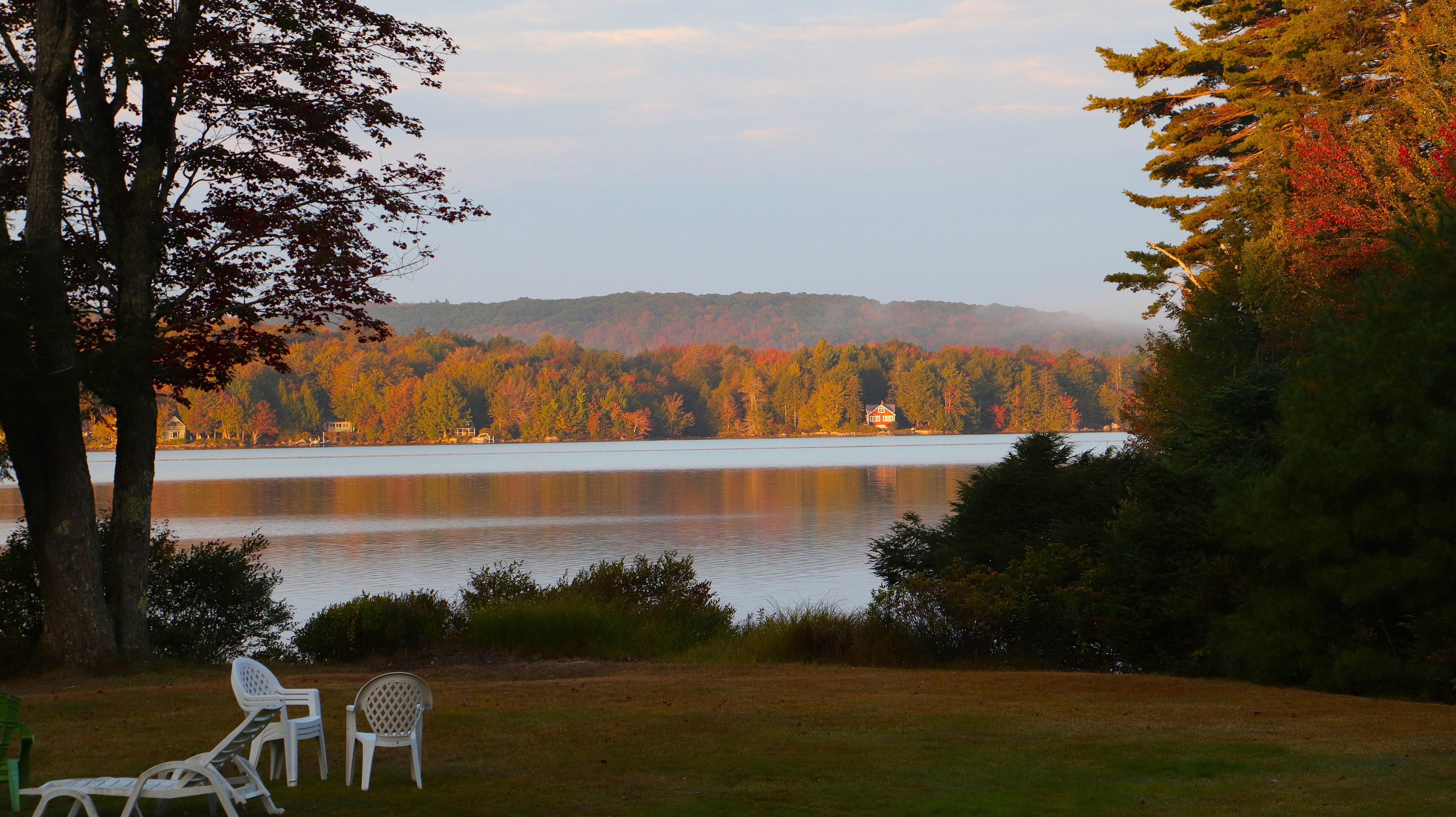 View from deck, early color visible.