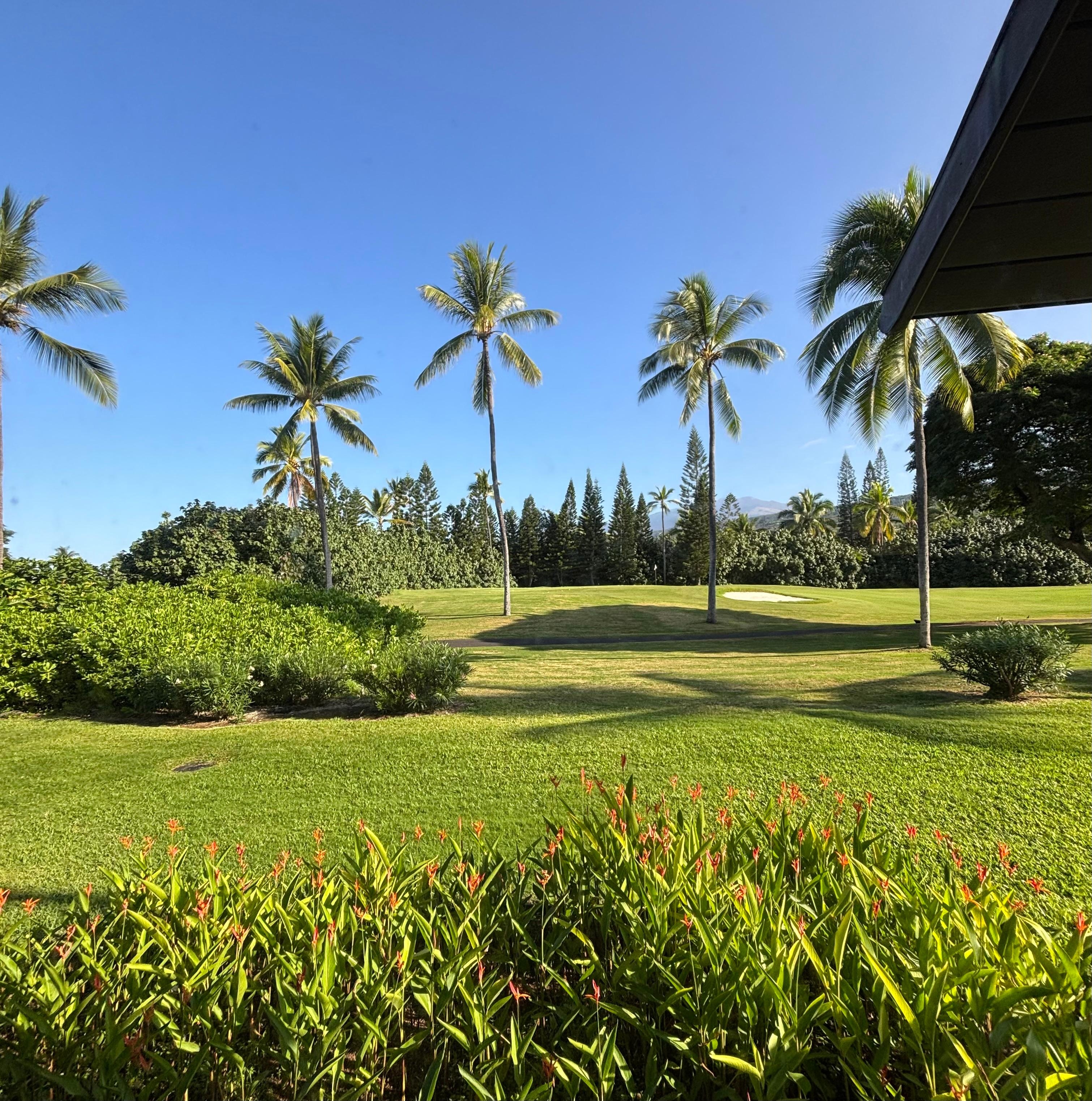 View of fairway from living room 