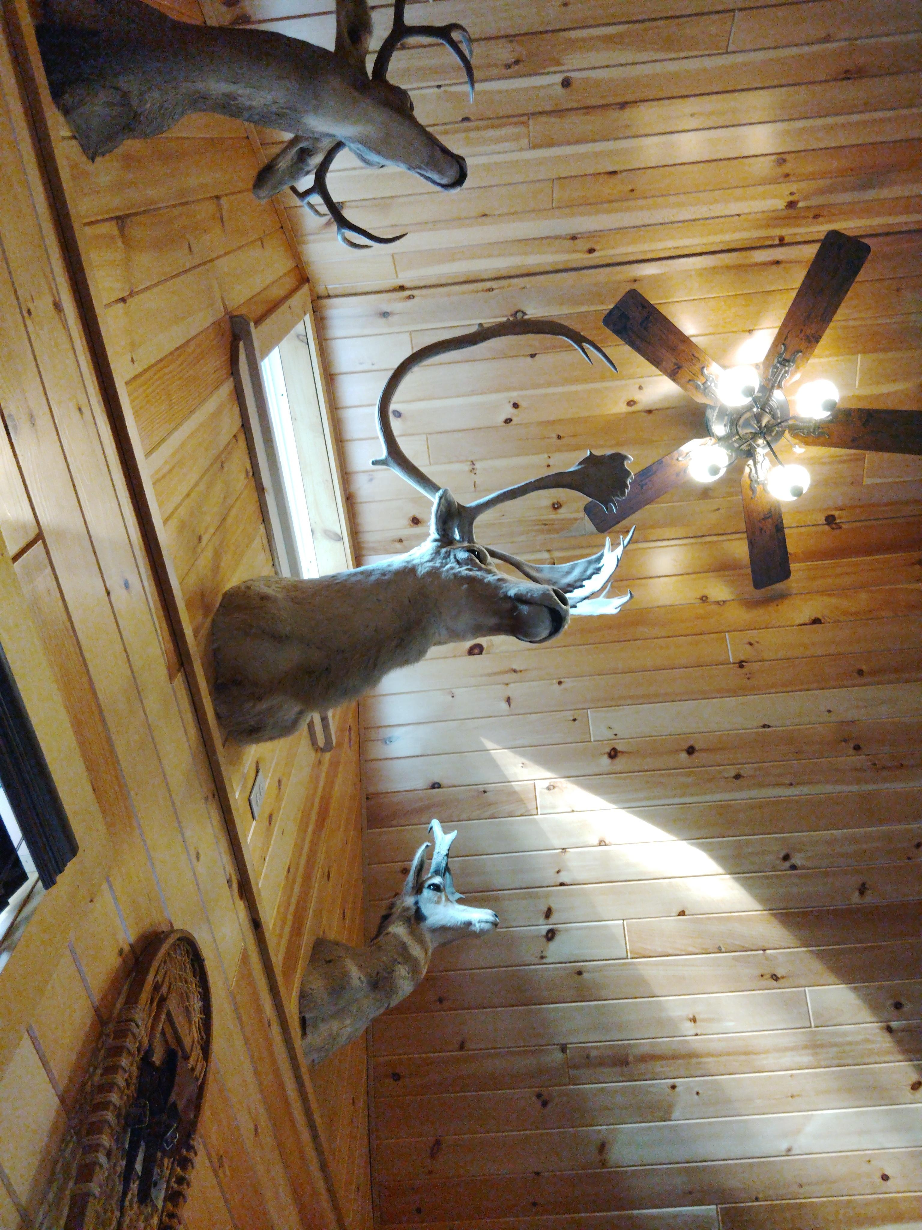 Woke up to these cool guys!!