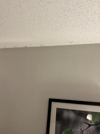 Ceiling cracking