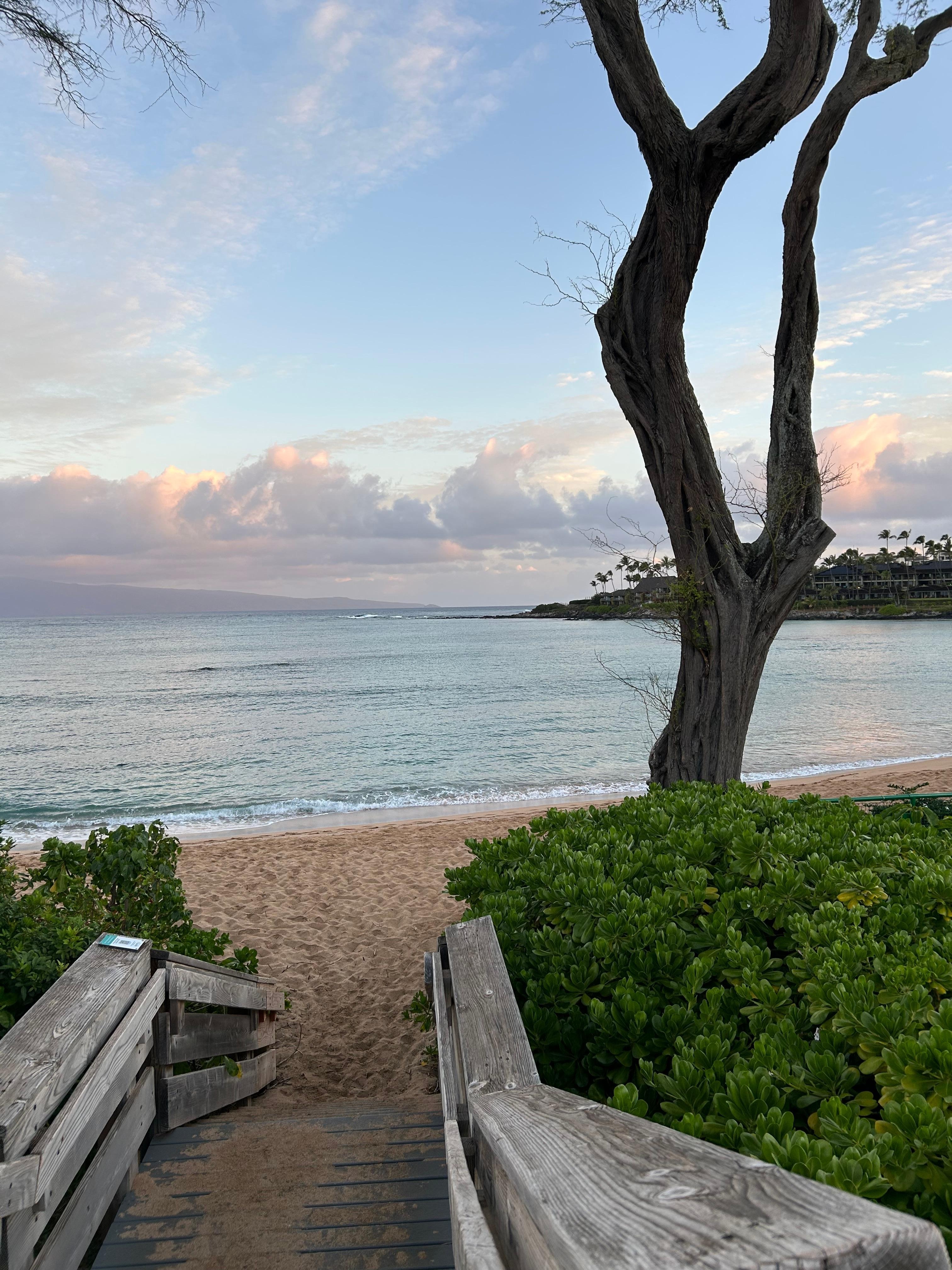 Walk down path to beach. Looks a bit different after storm but should be good later.