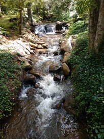 Creek beside the firepit is so peaceful!!