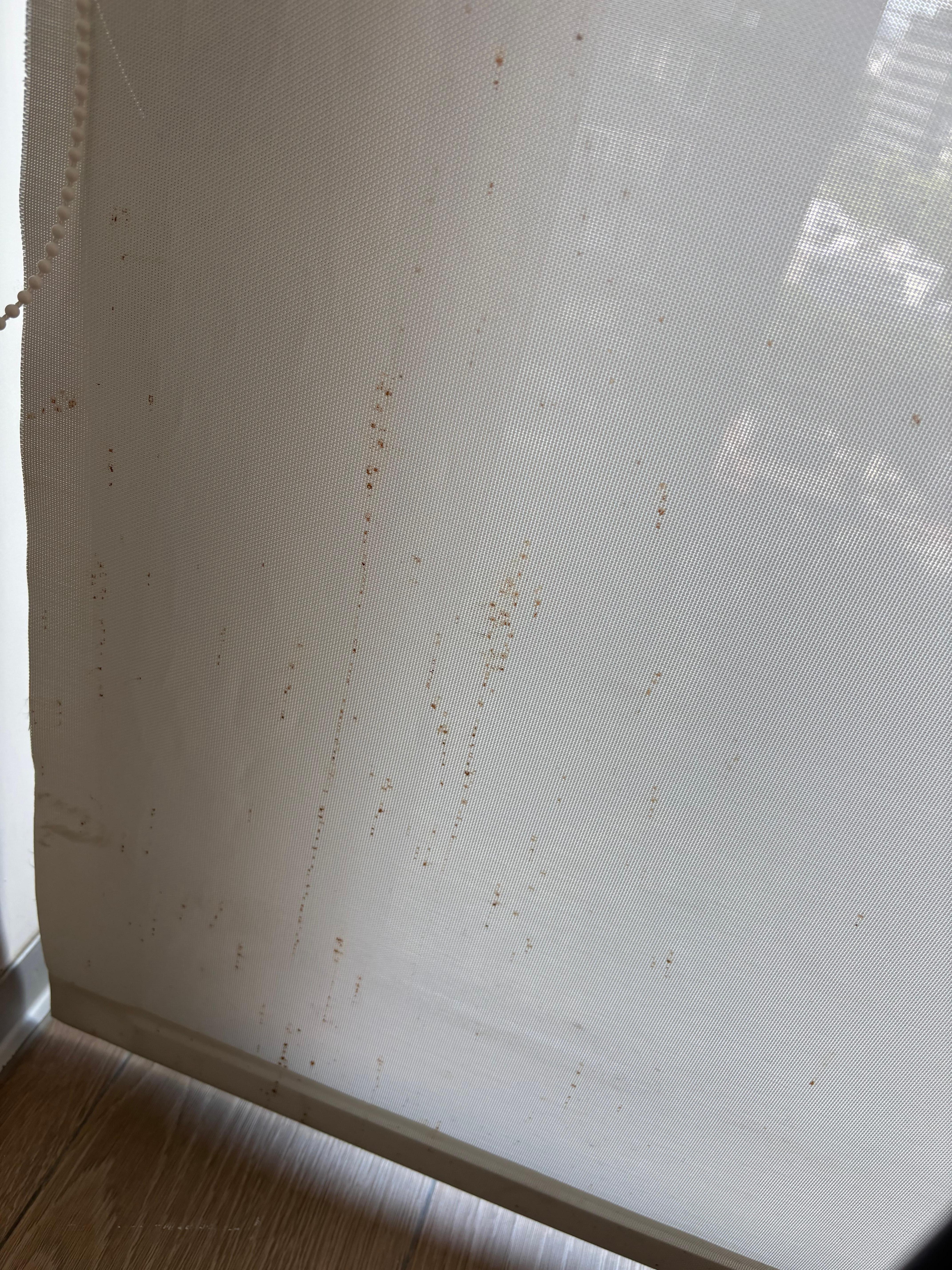 Stains on the blinds in living room 