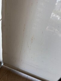Stains on the blinds in living room