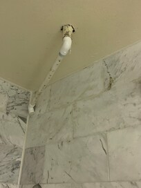 Moldy pipe coming out ceiling in bathroom