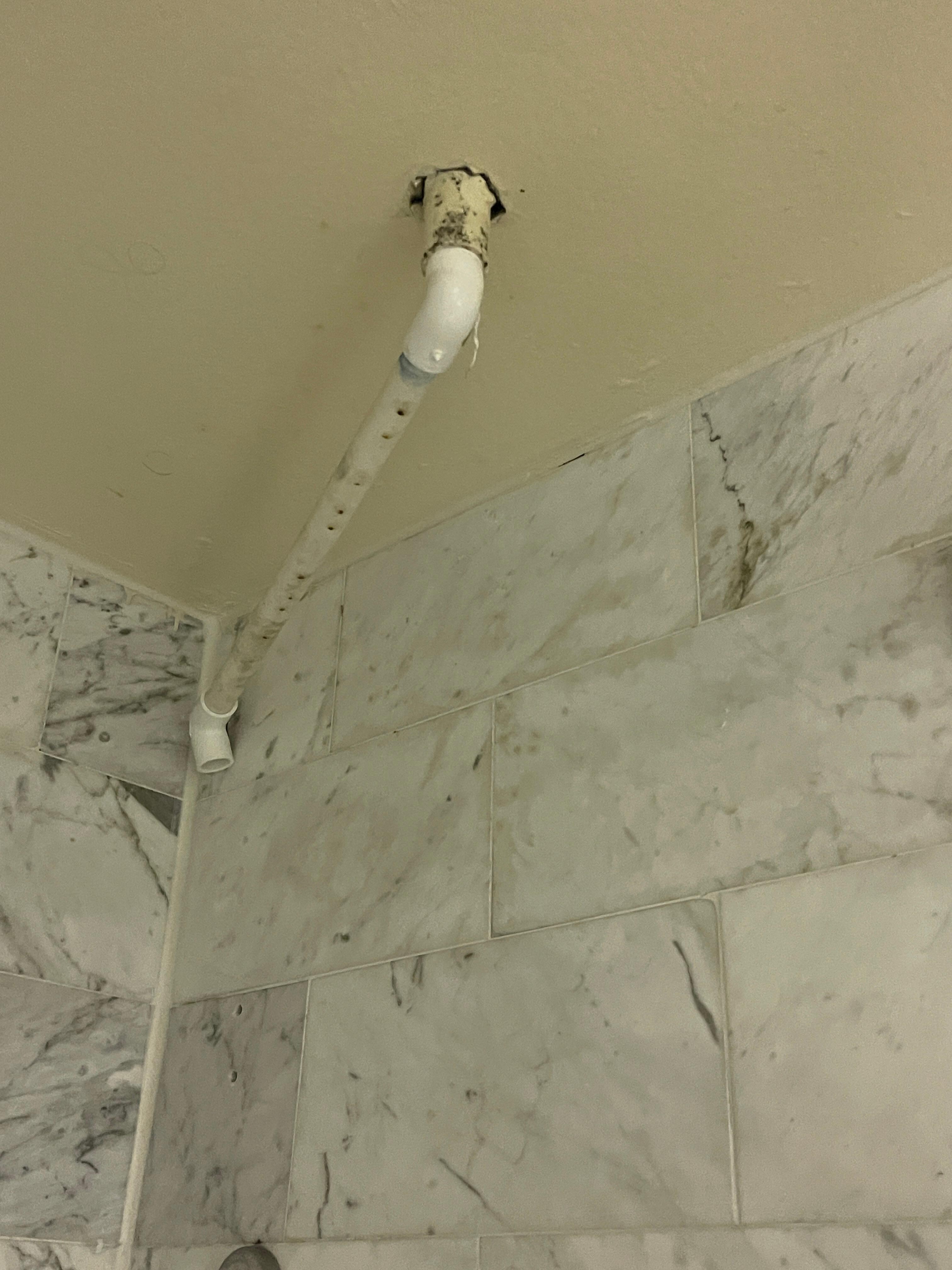 Moldy pipe coming out ceiling in bathroom