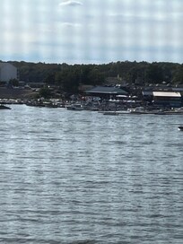 Dog Days Bar & Grill across the cove