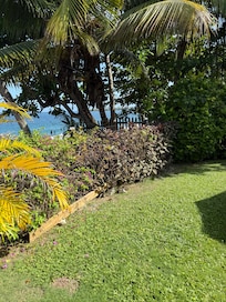 The yard