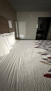 Roach in middle of bed.