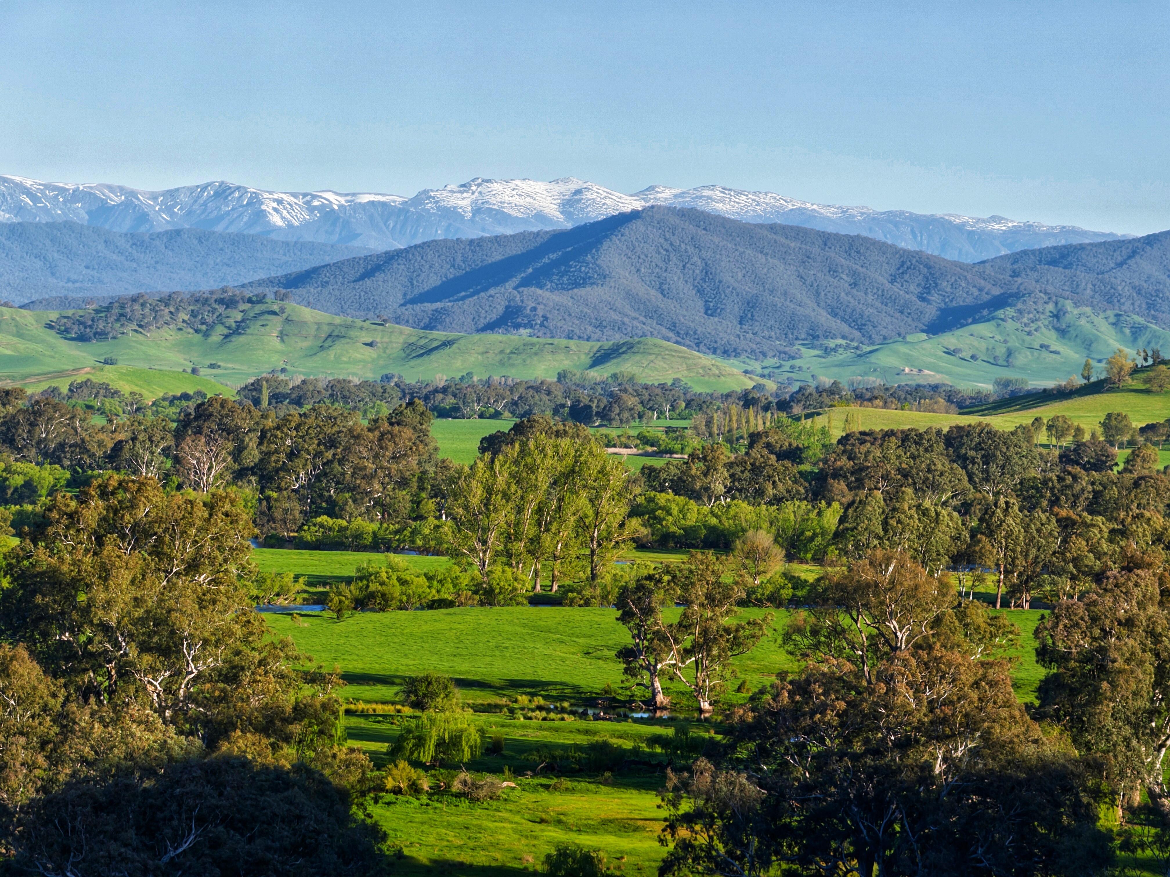 View from the deck in the garden