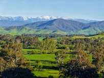 View from the deck in the garden