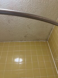 Mold in bathroom
