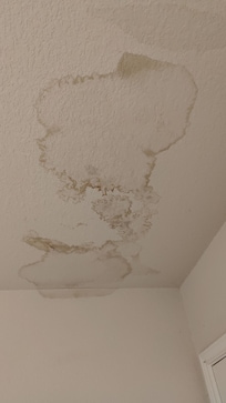 Overall the house is poorly maintained.