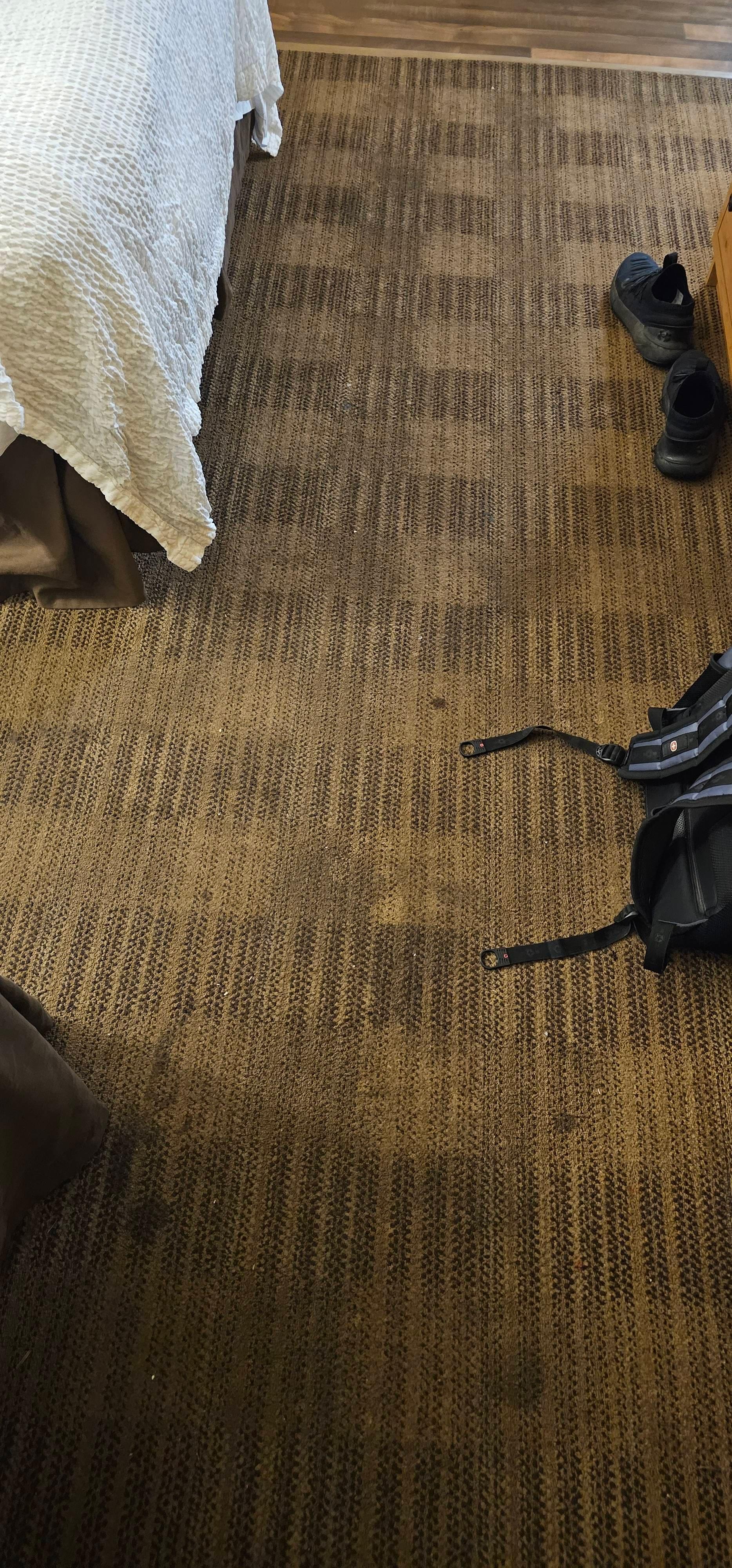 sticky carpet with visible stains throughout the room