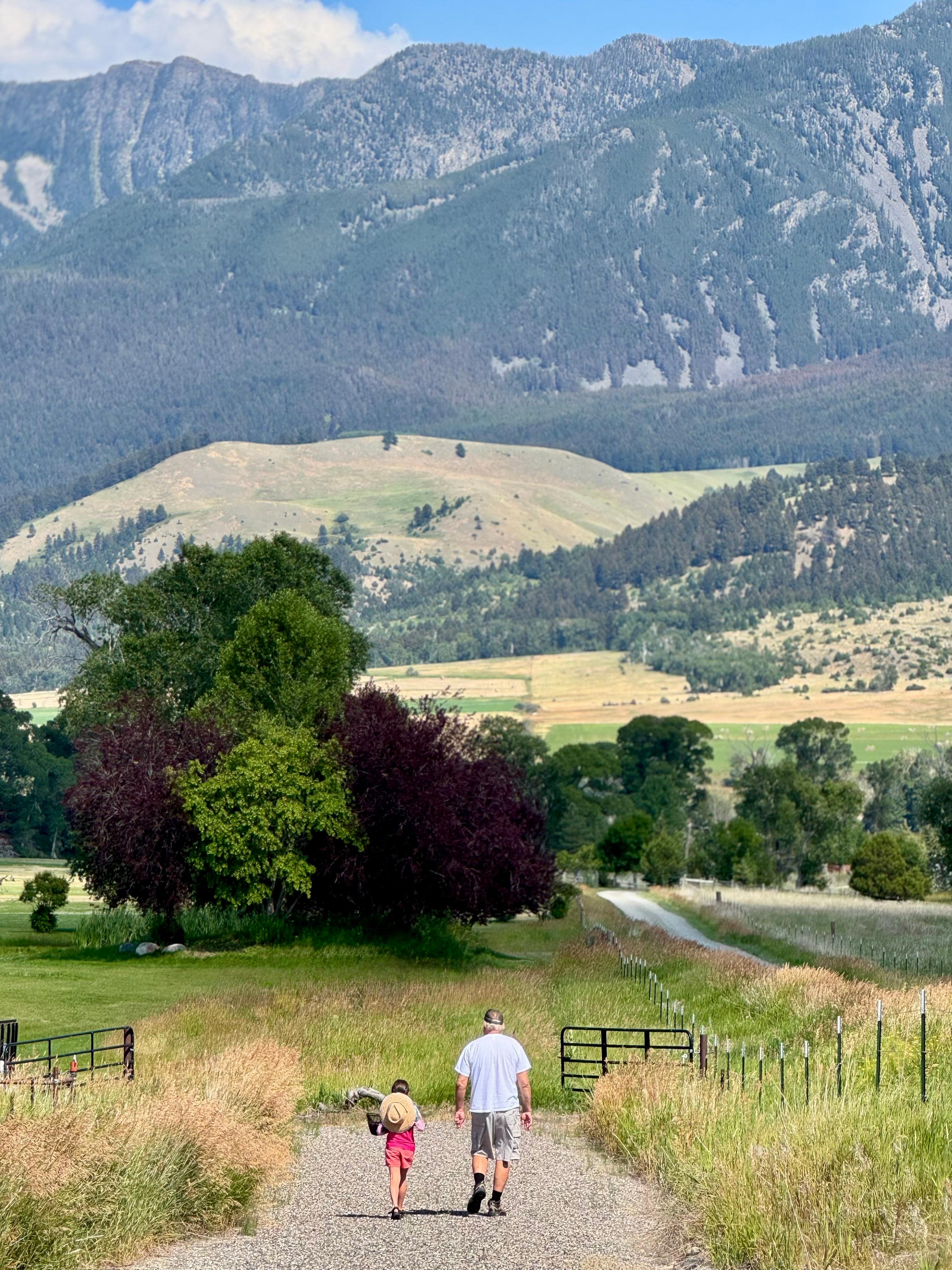 Walking down to check on the baby fish in the river ❤️