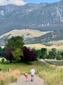 Walking down to check on the baby fish in the river ❤️