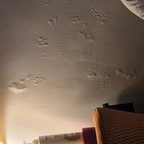 Nasty walls