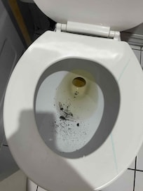 Toilette avec mégots de cigarettes à notre arrivée dans la chambre