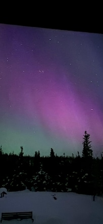 Beautiful Aurora from backyard!