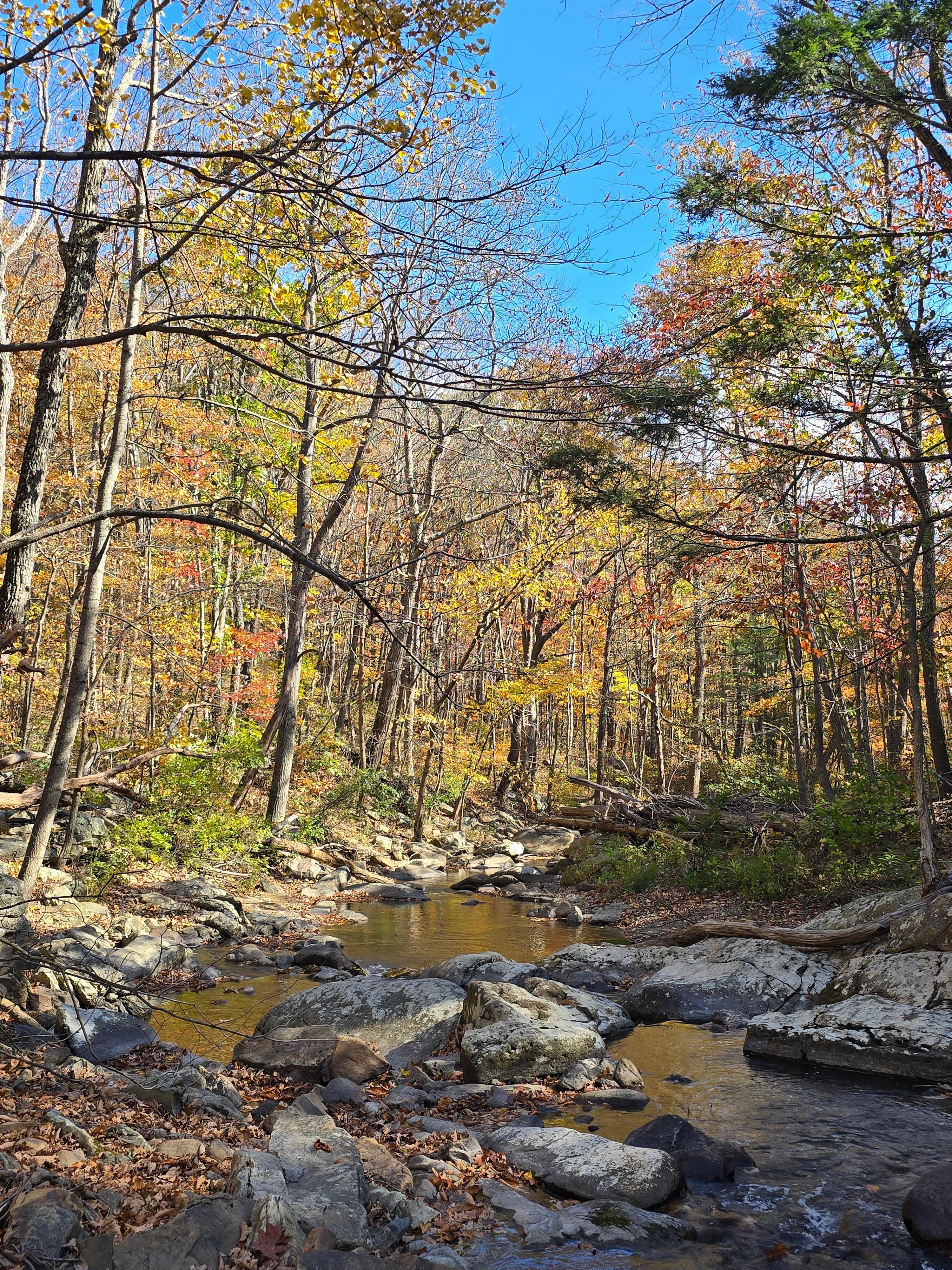 Stream accessible via trail  towards GWJNF
