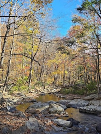 Stream accessible via trail towards GWJNF