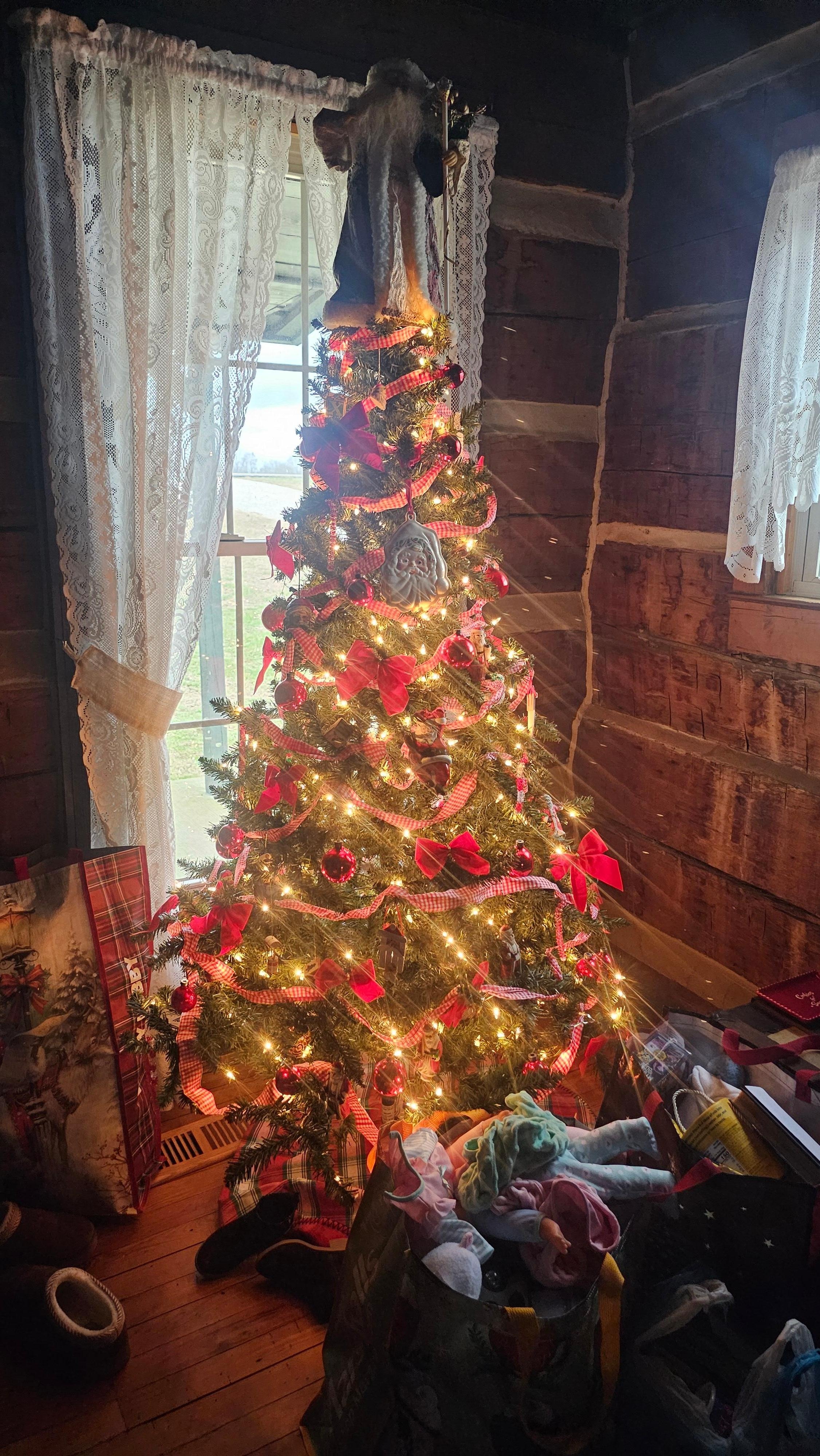 Glad they had a tree we could enjoy for our Christmas stay