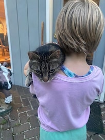My granddaughter adored this very friendly cat! Anytime she was bored with adult stuff, she'd go outdoors and there he'd be!