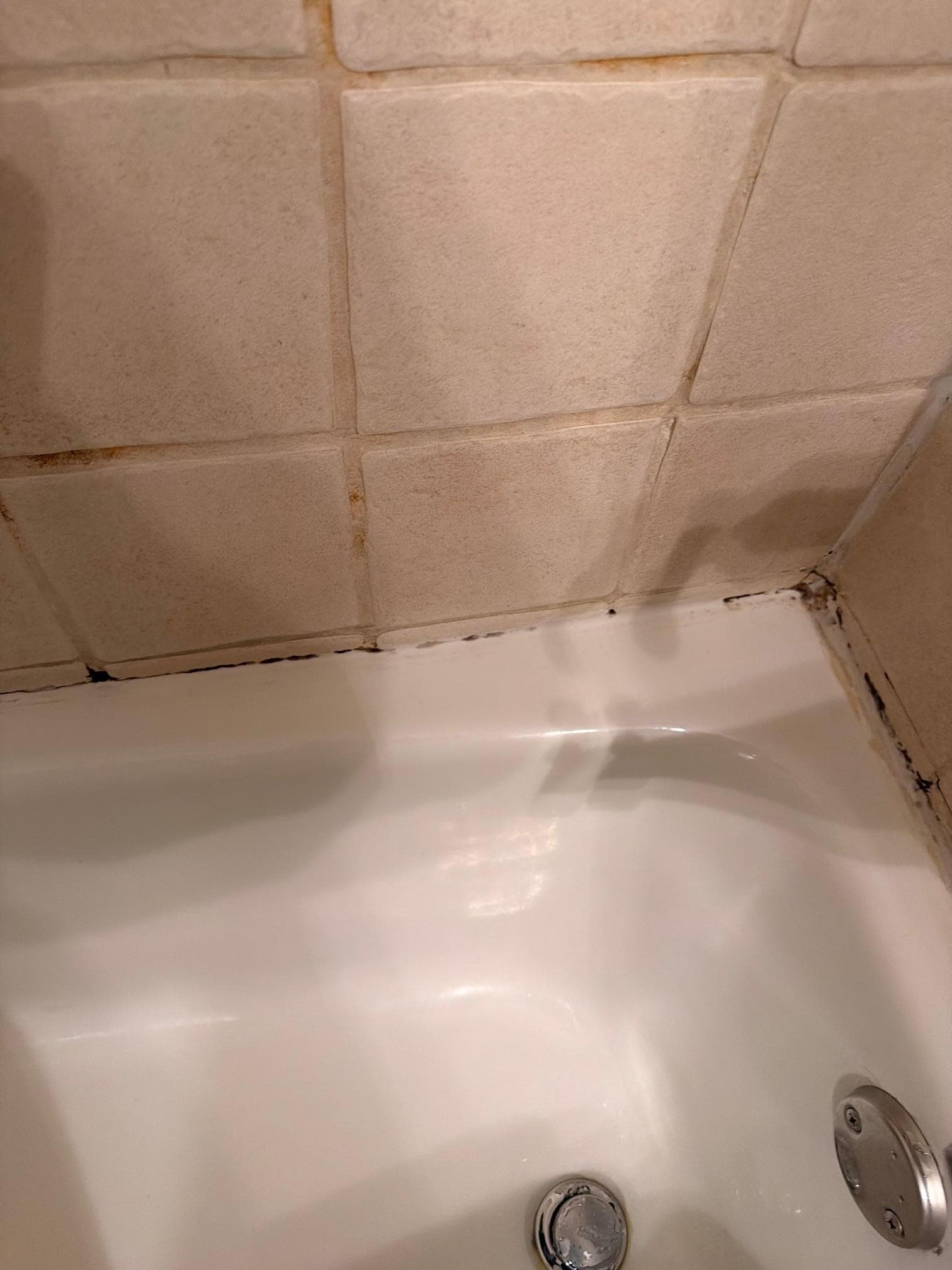 black mold present in one of the bath tub