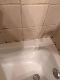 black mold present in one of the bath tub