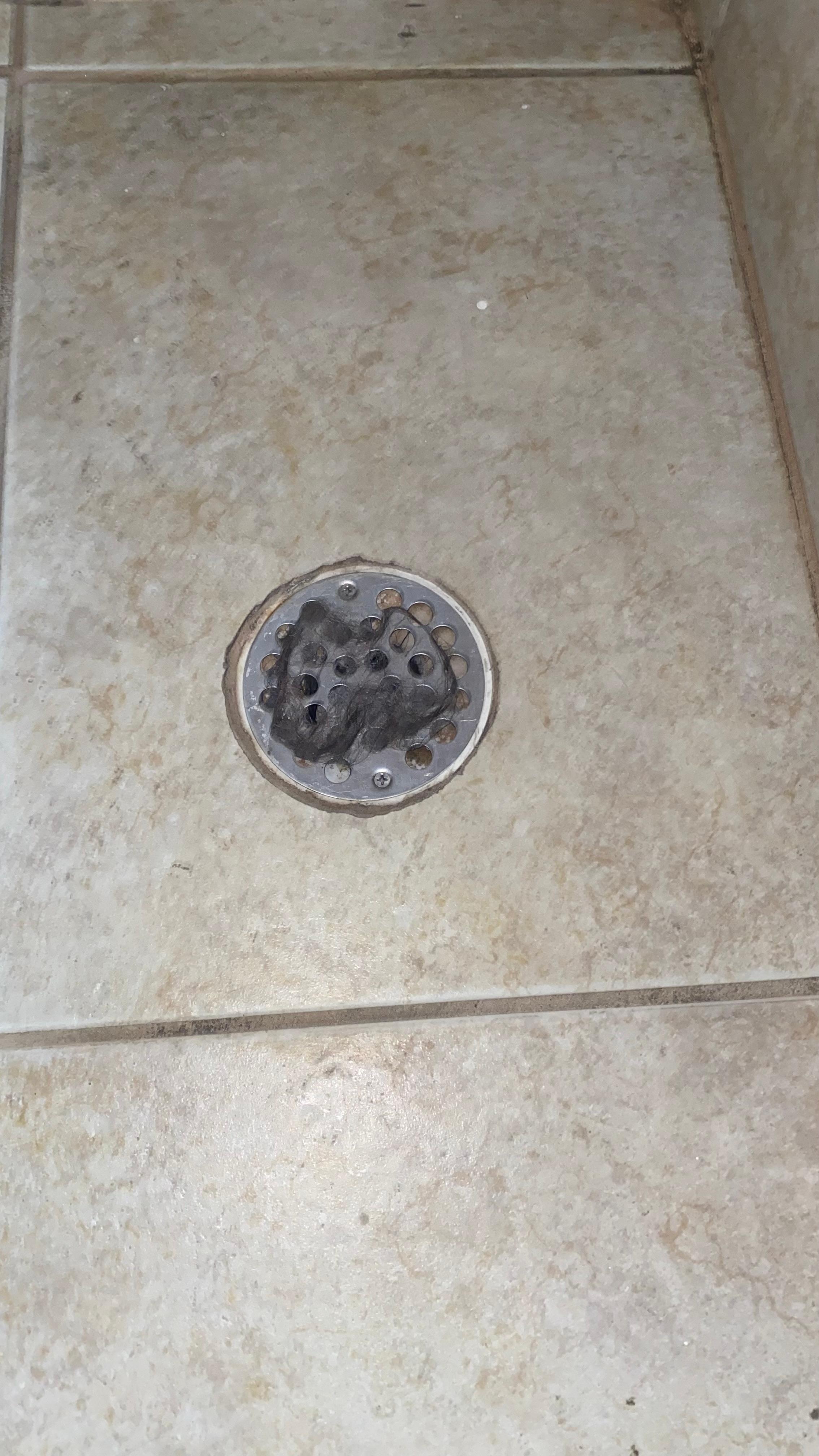 Hair filled in the shower drain