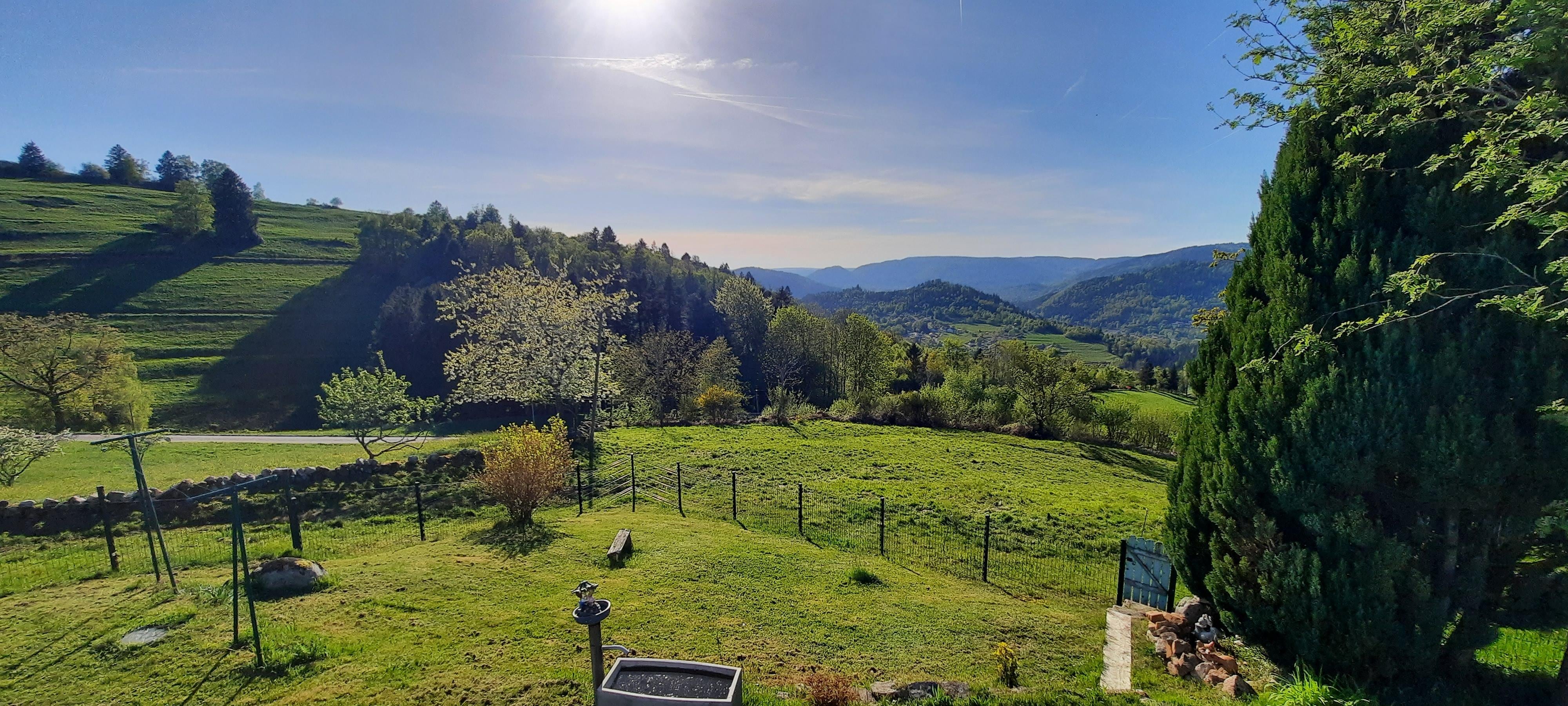 La vue