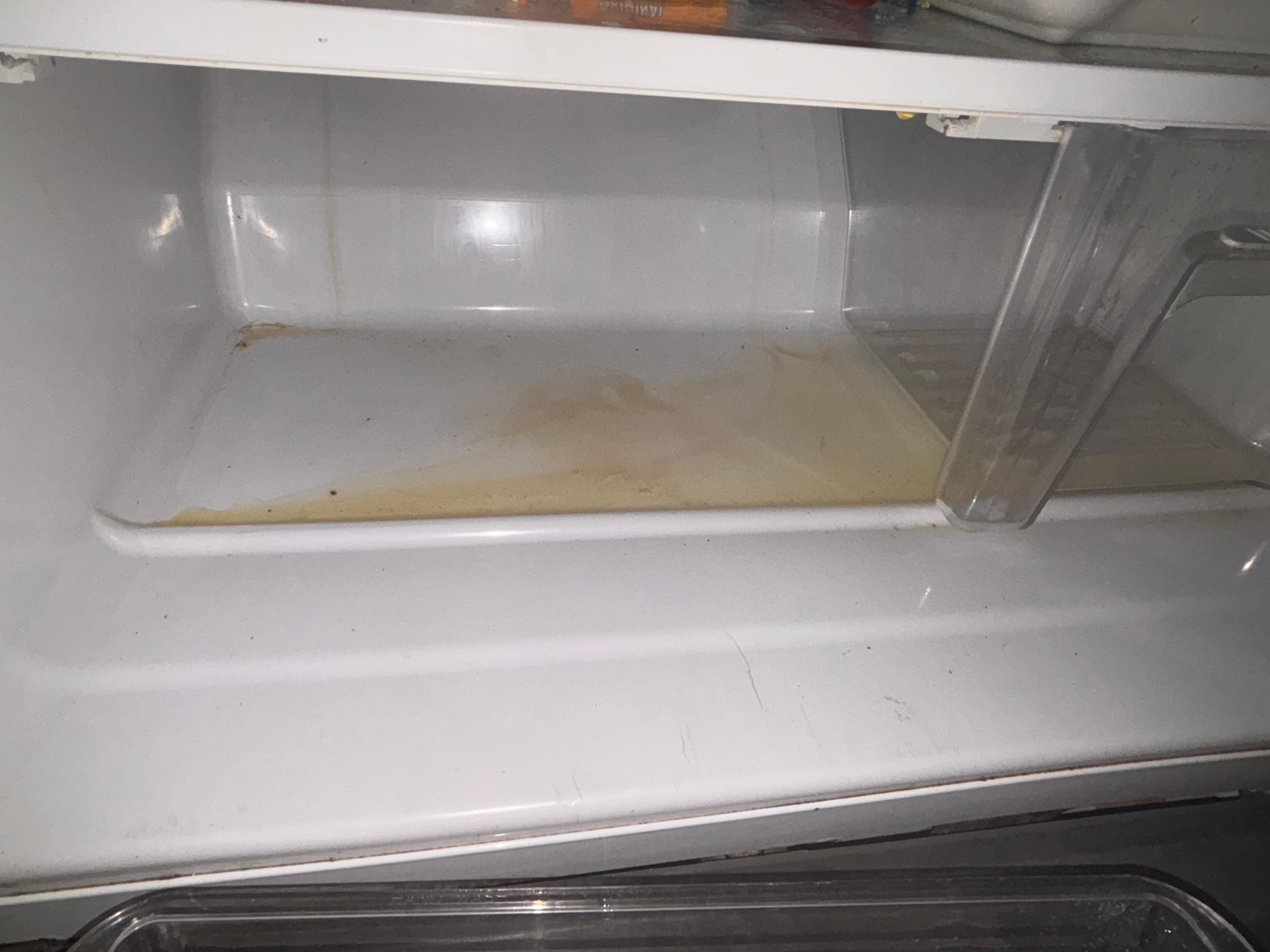 Fridge smelled like rotting fish and did not work properly the whole trip