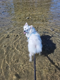 Northwind beach is a must visit.