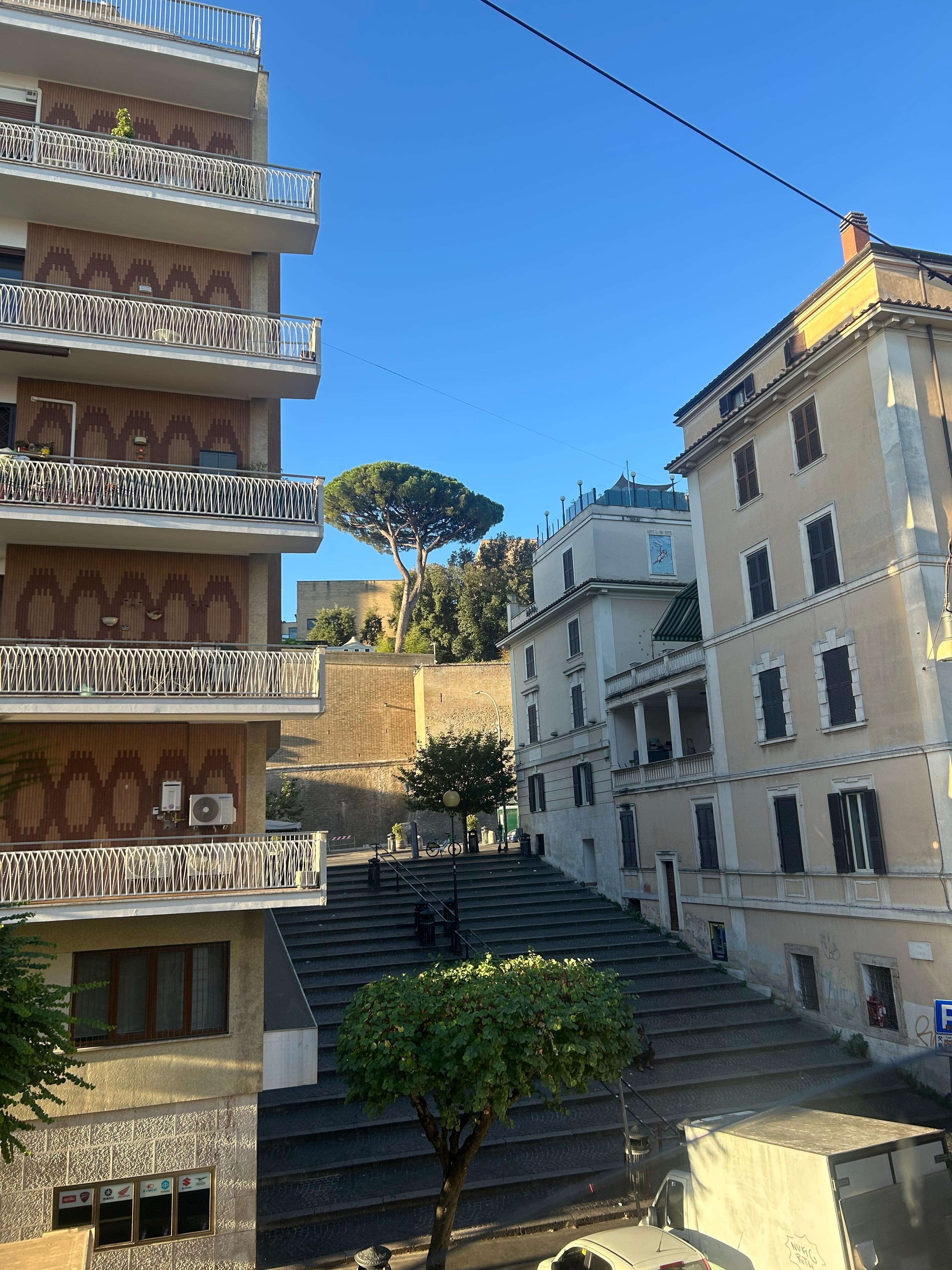 View from terrace 