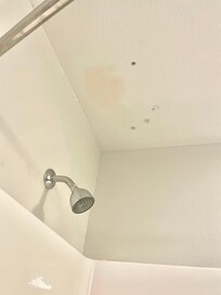 Mold spots on shower ceiling