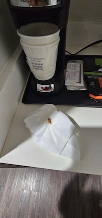 This is one of the ones that I was able to kill and it's just nasty.