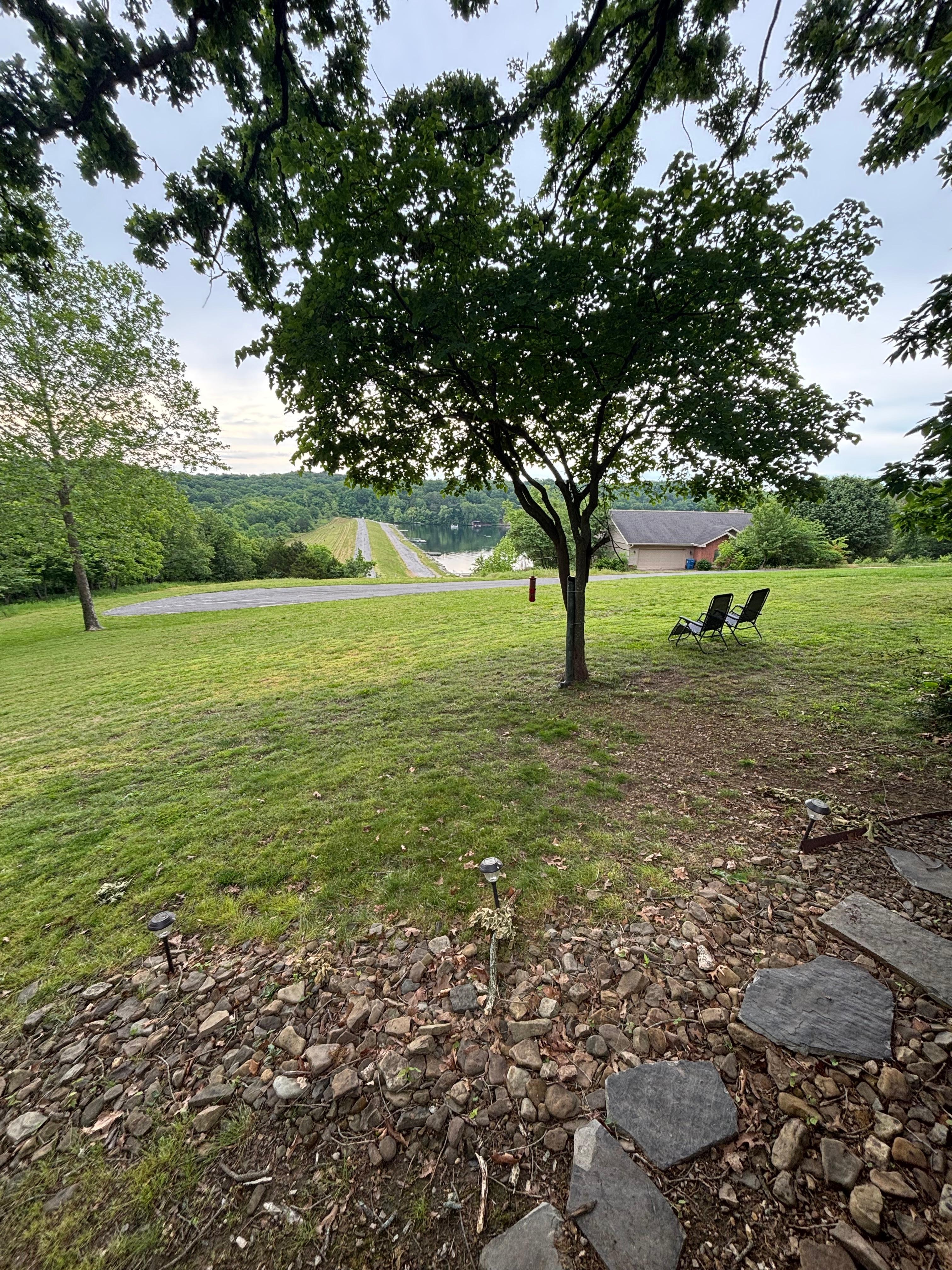 Back yard view 