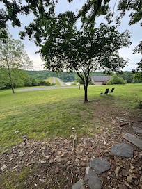 Back yard view